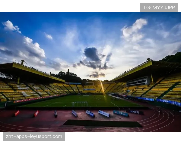 体育赛事风控体系强化，保障赛事顺利进行，体育赛事风险的处理方法